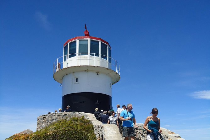 Ultimate Cape Point Tour from Cape Town - Full Day - Cape Point and the 40-minute lighthouse walk