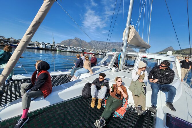 V&A Waterfront Marine Big 5 Ocean Safari - Weather, comfort, and the open Atlantic