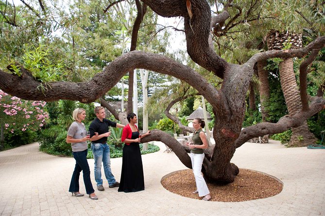 Van Loveren Avant-garde food & wine pairing experiences - Accessibility and group planning