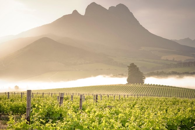 Vine Hopper: Hop-On Hop-Off Wine Tour - Northern Route - Key points to know before you book