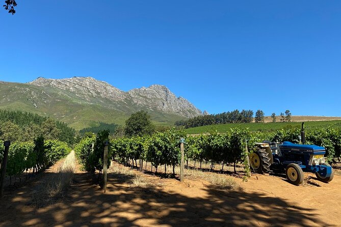 Vine Hopper: Hop-On Hop-Off Wine Tour - Northern Route - Starting at Stellenbosch Crafts Alive