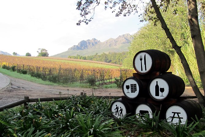 Vine Hopper: Hop-On Hop-Off Wine Tour - Southern Route - Cavalli Art Gallery adds a non-wine option