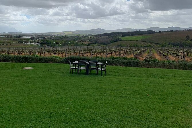Vine Hopper: Hop-On Hop-Off Wine Tour - Southern Route - Starting at Landbousaal