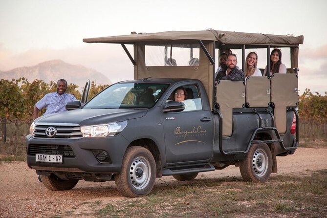 Vineyard Safari and Wine Tasting in Hermanus with Guide - Key points to know before booking