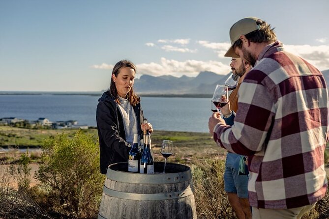 Vineyard Safari and Wine Tasting in Hermanus with Guide - A compact itinerary with a clear rhythm