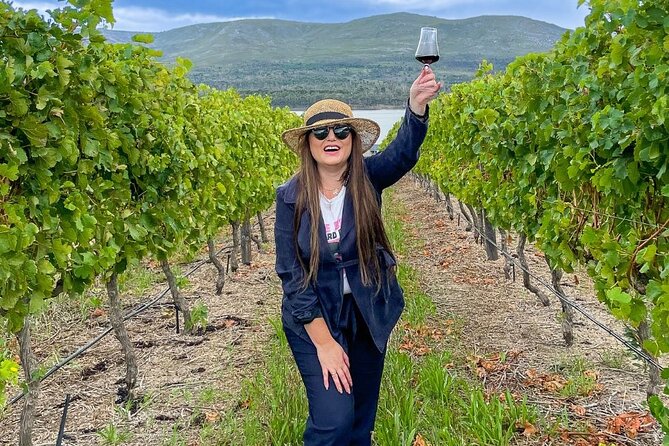 Vineyard Safari and Wine Tasting in Hermanus with Guide - Who will enjoy this Hermanus wine outing?