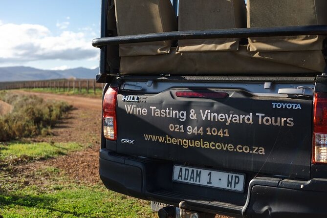 Vineyard Safari and Wine Tasting in Hermanus with Guide - Practical booking advice for weather and timing