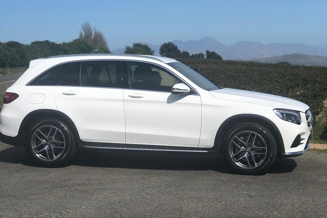 VIP Cape Town Private Guided Tour in Premium Luxury Vehicle - Safaris, coast trips, and longer Western Cape plans