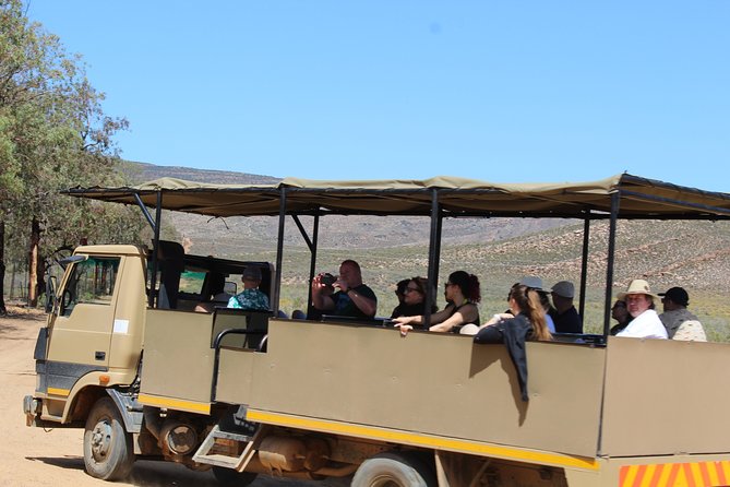 Visit African Big 5 Safari Aquila Game Reserve from Cape Town - full Day - The Diamond Works Stop: Useful or Unwanted?