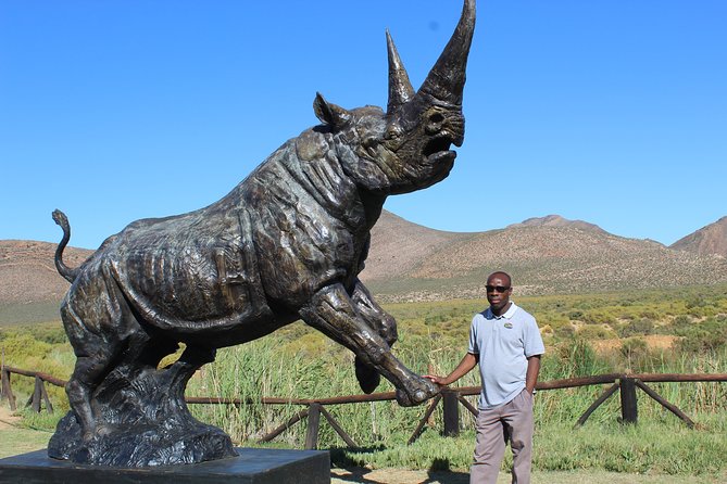Visit African Big 5 Safari Aquila Game Reserve from Cape Town - full Day - Price, Group Size, and Practical Value