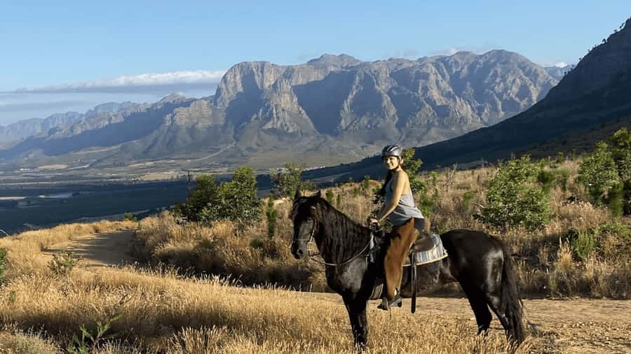 Vrede en Lust Wine Estate:1-Hour Horseback Riding Experience - Riding through Vrede en Lust’s wine country