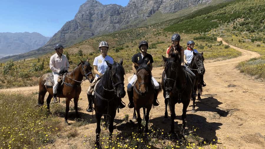 Vrede en Lust Wine Estate:1-Hour Horseback Riding Experience - Why beginners can feel at ease