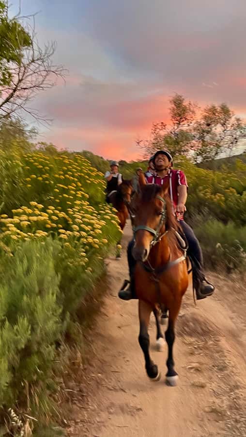 Vrede en Lust Wine Estate:1-Hour Horseback Riding Experience - The horses are part of the appeal