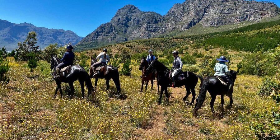 Vrede en Lust Wine Estate:1-Hour Horseback Riding Experience - What to wear and bring