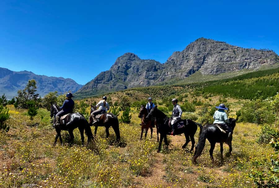 Vrede en Lust Wine Estate:1-Hour Horseback Riding Experience - Timing is the detail that can make or break it