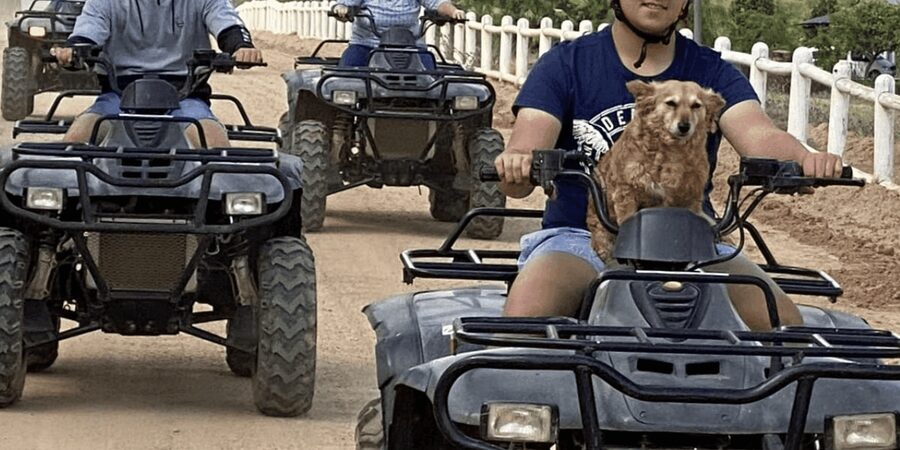 Vrede en Lust Wine Estate: 1H Quad Bike Trail - Who should ride, and who should skip it?