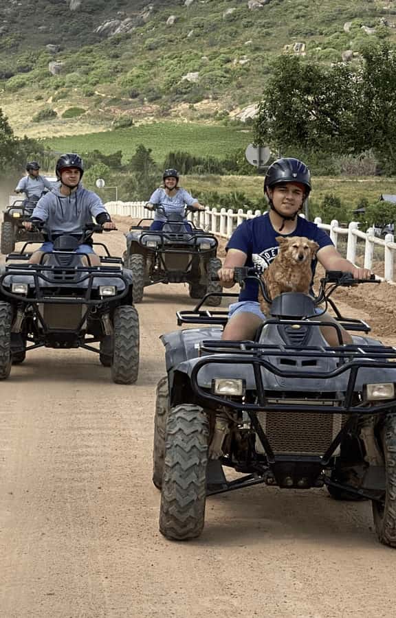Vrede en Lust Wine Estate: 1H Quad Bike Trail - My verdict on the Vrede en Lust quad trail
