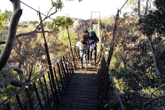 Walk with Elephants Experience plus Monkey Forest Walk - Elephant Sanctuary: slow contact with gentle giants