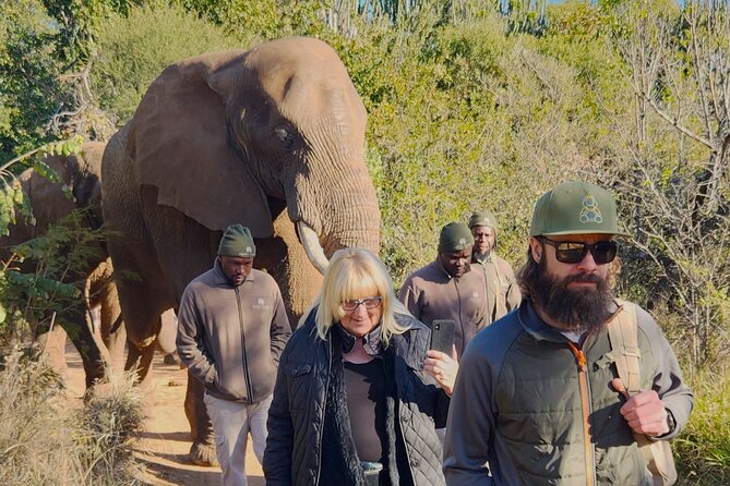 Walk with Elephants Experience plus Monkey Forest Walk - Fitness, height, and animal-contact concerns