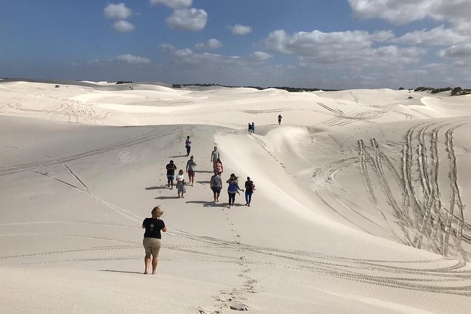 West Coast Day Trip from Cape Town - Why This West Coast Day Trip Works