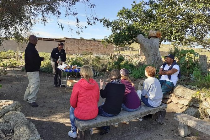 West Coast Day Trip from Cape Town - Is the $121.21 Price Good Value?
