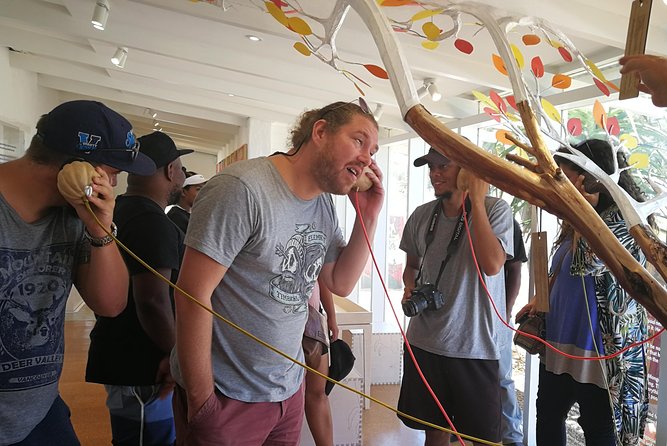 West Coast Day Trip from Cape Town - Should You Book the West Coast Day Trip?