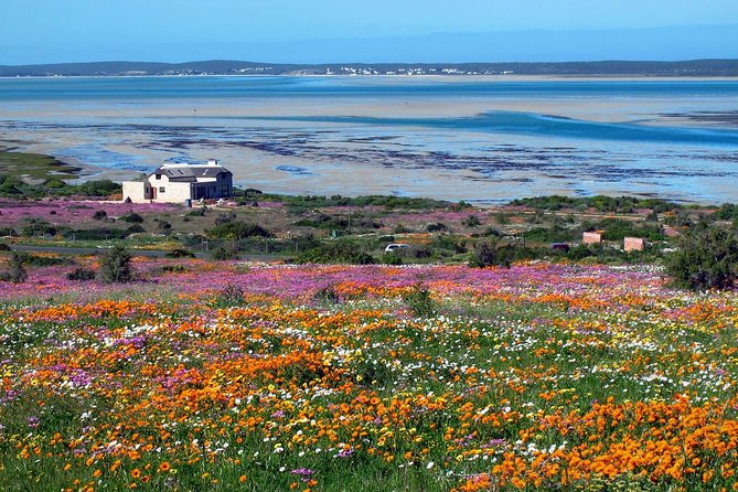 West Coast Wonders Full Day Tour with Private Transfer - The guide makes the difference