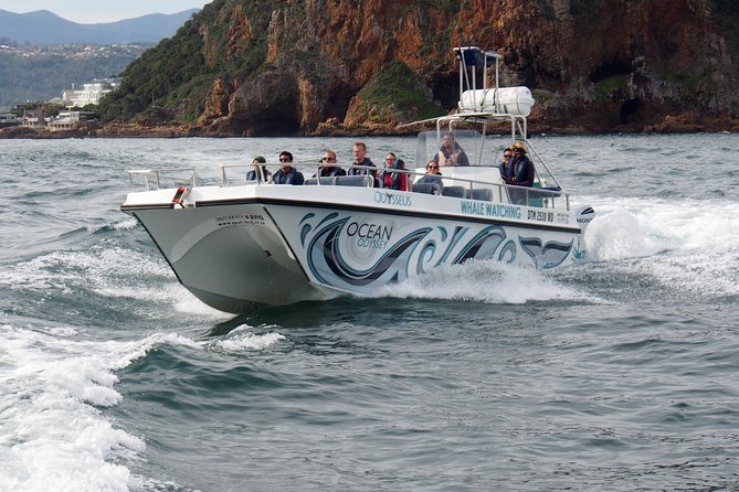 Whale Watching Knysna - Close Encounter Experience Ocean Odyssey - The value of the captain’s commentary