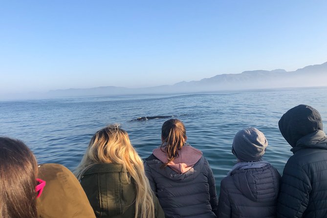 Whale Watching Tour in Hermanus with Hotel Pickup - From Cape Town to the Hermanus coast