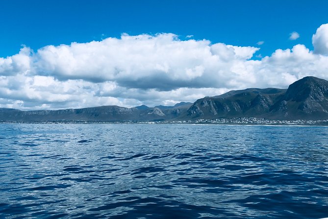 Whale Watching Tour in Hermanus with Hotel Pickup - What to pack and how to plan the day