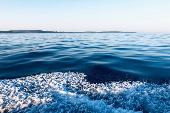 Whale Watching Tour in Hermanus with Hotel Pickup - Should you book it?