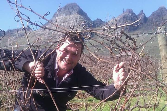 Wijntoer - Reserve tour with a winemaker! - Choosing the final stop around your taste