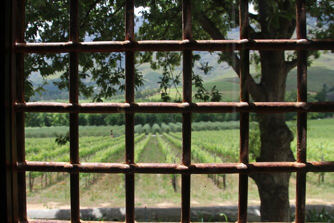 Wijntoer - Reserve tour with a winemaker! - Why the private vehicle makes a difference