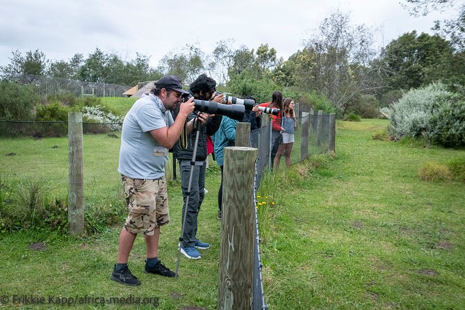 Wild Cat Experience Tour - Why this short Tenikwa visit is more than a big-cat photo stop