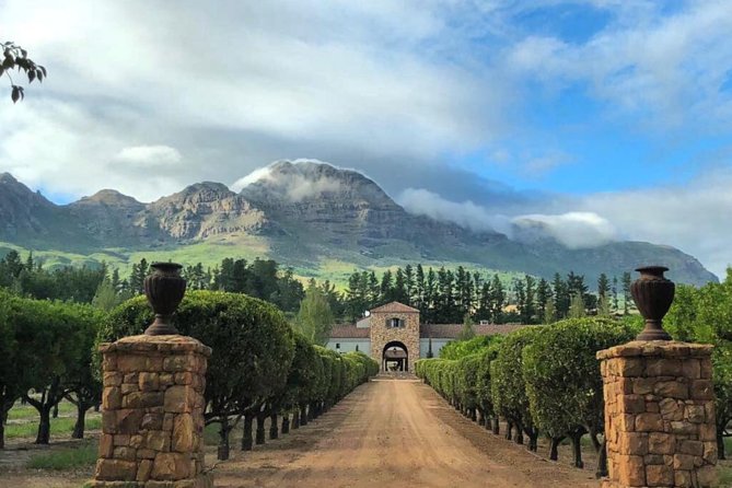 Wine Beer and Biltong Safari - Stellenbosch - A full Stellenbosch tasting day from Cape Town