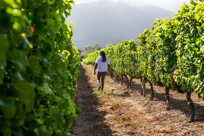 Wine Beer and Biltong Safari - Stellenbosch - An included braai gives the itinerary real substance
