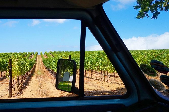 Wine Beer and Biltong Safari - Stellenbosch - Why the small group and guide matter
