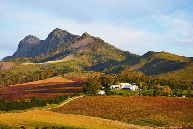 Wine Beer and Biltong Safari - Stellenbosch - Wine farms, open views, and local wildlife