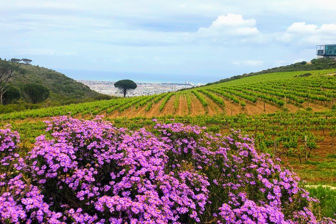 Wine tasting - Boutique farms - The guides: local context and flexible pacing