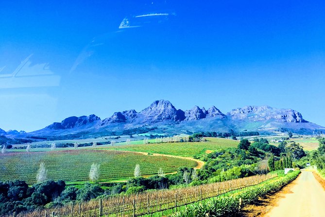 Wine tasting - Boutique farms - Who will enjoy this most?