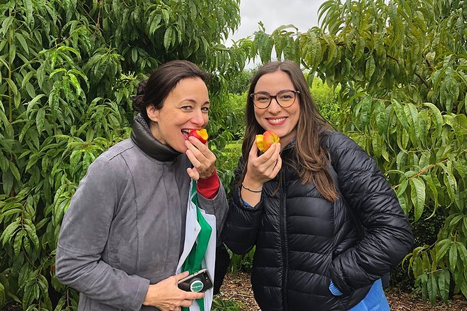 Wine Tasting, Cape Dutch Farm and Art Day Tour from Cape Town - Babylonstoren’s eight-acre edible garden