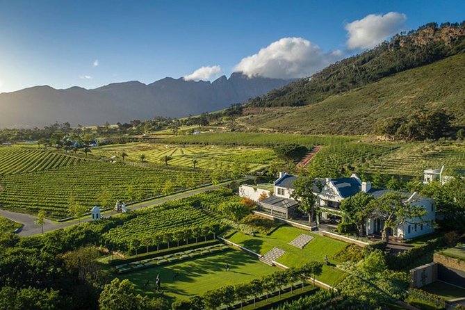 Wine Tasting, Cape Dutch Farm and Art Day Tour from Cape Town - What the $186.22 price really covers