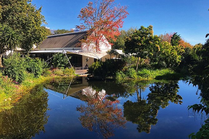 Wine Tasting, Cape Dutch Farm and Art Day Tour from Cape Town - La Motte combines wine with South African art