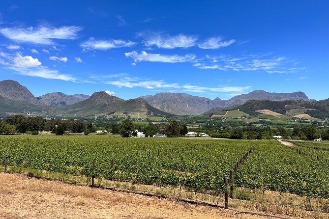 Wine Tasting in Cape's Top Three Winelands Private Tour - Franschhoek town, lunch, and French Cape heritage