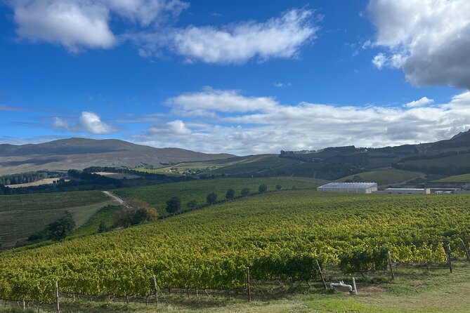 Wine Tasting Private Tour in Cape Winelands - Franschhoek, the Valley of Dreams