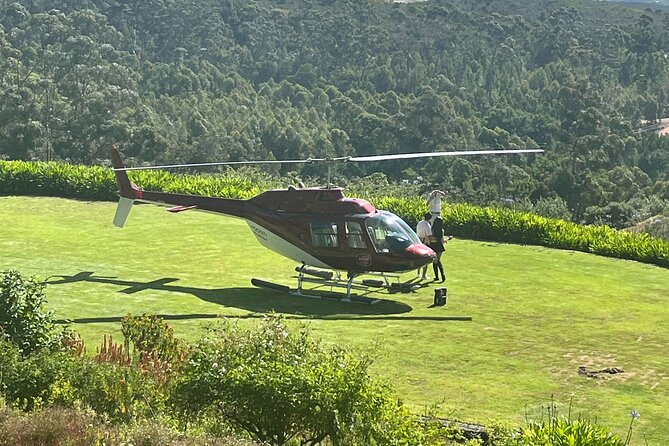 Wine Tasting Private Tour in Cape Winelands - What the $120 price really covers