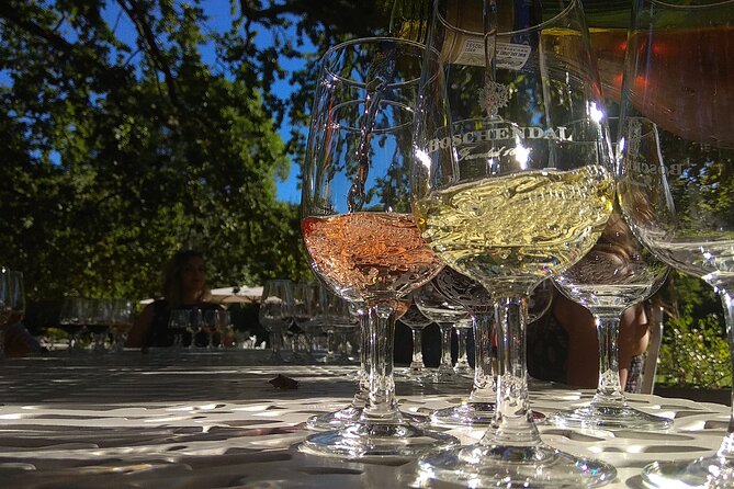 Wine Tour to Stellenbosch & Franschhoek with Tastings & Lunch - Key points at a glance