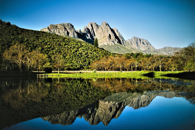 Wine Tour to Stellenbosch & Franschhoek with Tastings & Lunch - Who will enjoy this tour most
