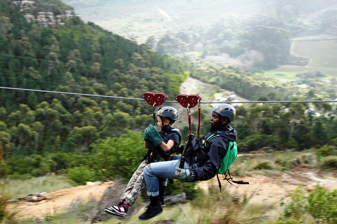 Zipline Cape Town - From Foot of Table Mountain Reserve - Key points at a glance