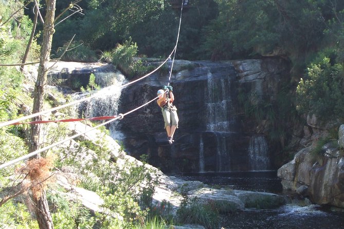 Ziplining Elgin - From the first platform to the final line